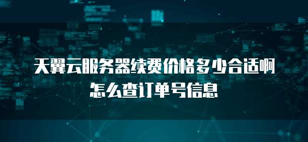 天翼云服务器续费价格多少合适啊怎么查订单号信息