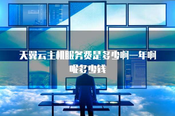 天翼云主机服务费是多少啊一年啊呢多少钱