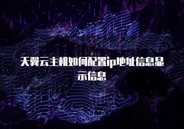 天翼云主机如何配置ip地址信息显示信息