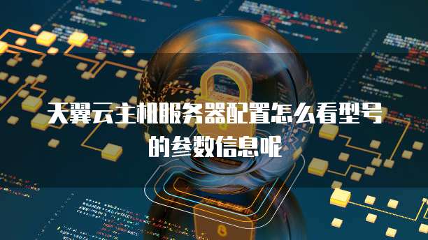 天翼云主机服务器配置怎么看型号的参数信息呢
