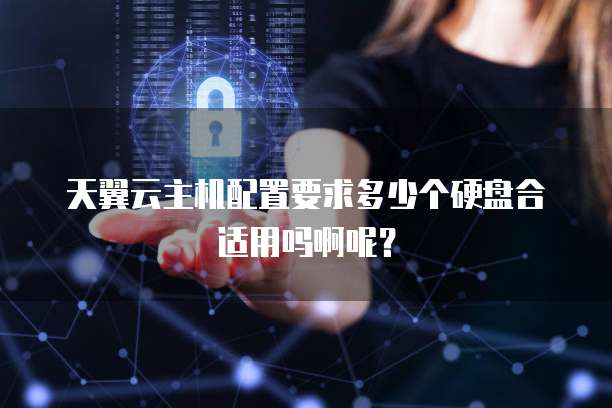 天翼云主机配置要求多少个硬盘合适用吗啊呢?