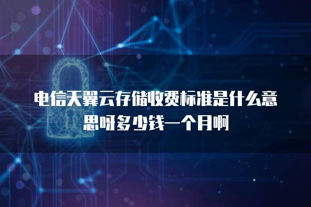 电信天翼云存储收费标准是什么意思呀多少钱一个月啊