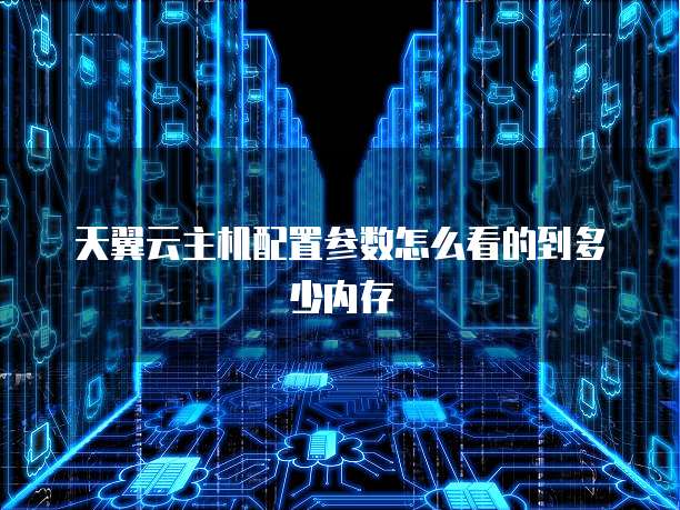 天翼云主机配置参数怎么看的到多少内存