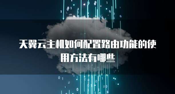 天翼云主机如何配置路由功能的使用方法有哪些