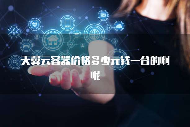 天翼云容器价格多少元钱一台的啊呢