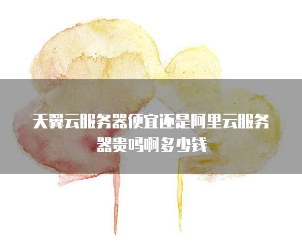 天翼云服务器便宜还是阿里云服务器贵吗啊多少钱