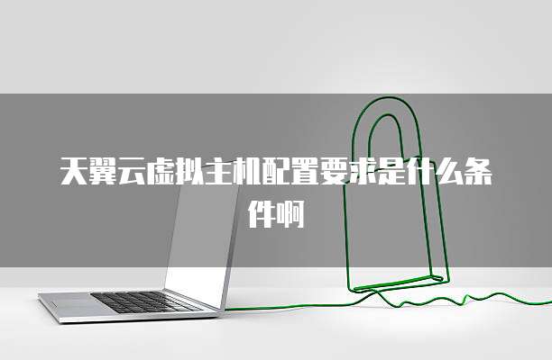 天翼云虚拟主机配置要求是什么条件啊