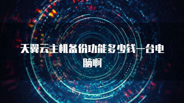 天翼云主机备份功能多少钱一台电脑啊