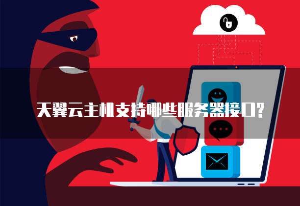 天翼云主机支持哪些服务器接口?
