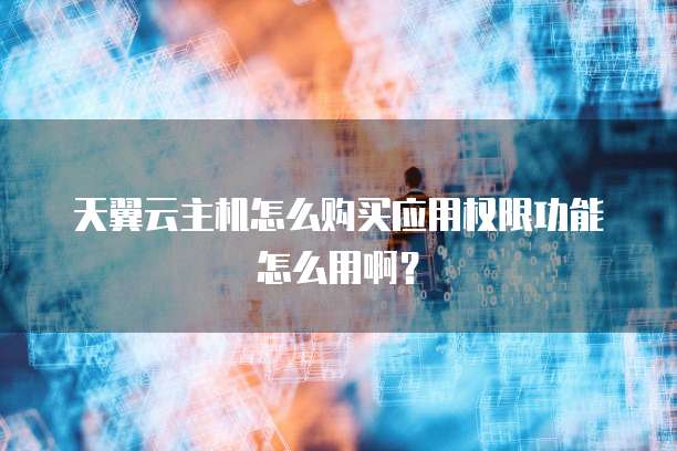 天翼云主机怎么购买应用权限功能怎么用啊?