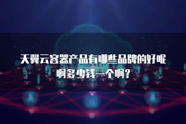 天翼云容器产品有哪些品牌的好呢啊多少钱一个啊？