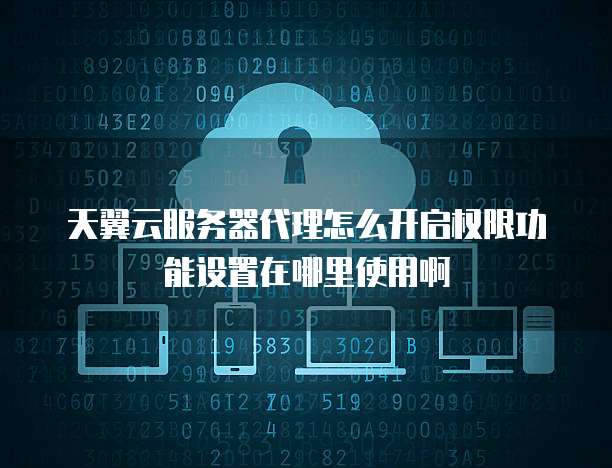 天翼云服务器代理怎么开启权限功能设置在哪里使用啊