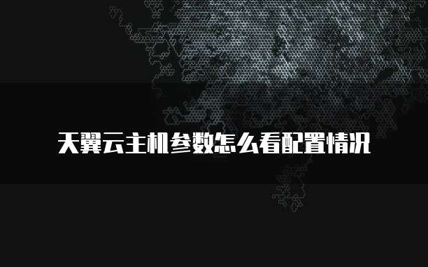 天翼云主机参数怎么看配置情况