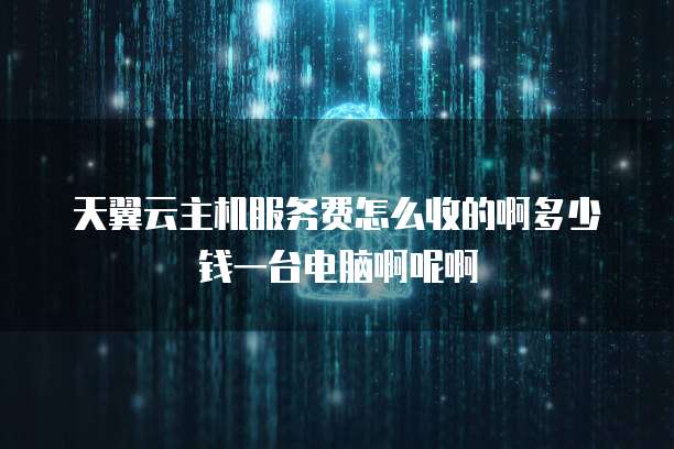 天翼云主机服务费怎么收的啊多少钱一台电脑啊呢啊