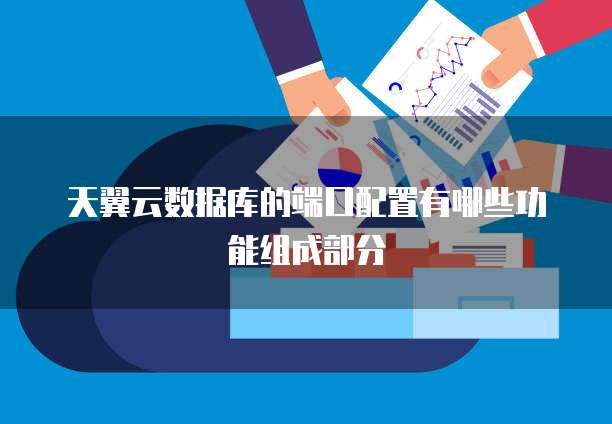 天翼云数据库的端口配置有哪些功能组成部分