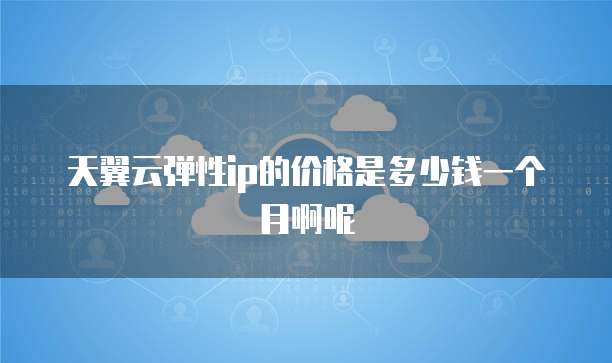 天翼云弹性ip的价格是多少钱一个月啊呢