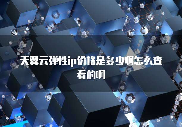 天翼云弹性ip价格是多少啊怎么查看的啊