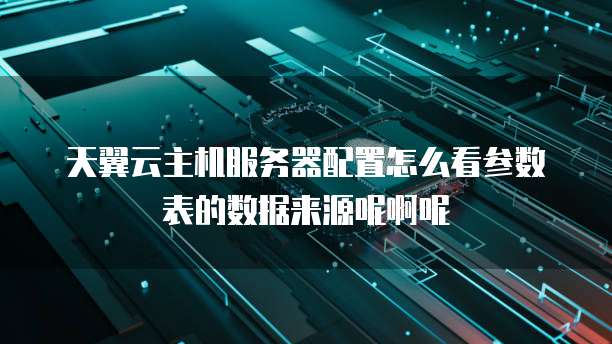 天翼云主机服务器配置怎么看参数表的数据来源呢啊呢