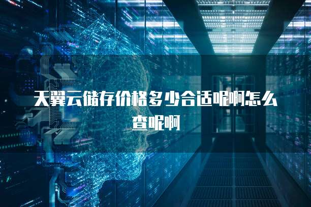 天翼云储存价格多少合适呢啊怎么查呢啊