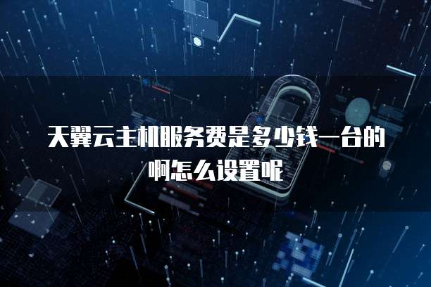 天翼云主机服务费是多少钱一台的啊怎么设置呢
