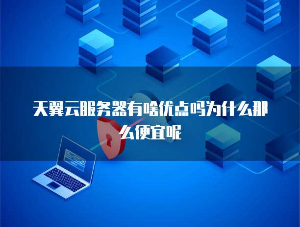 天翼云服务器有啥优点吗为什么那么便宜呢