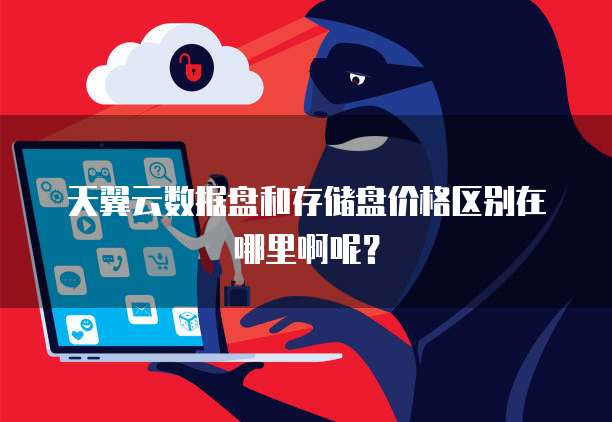 天翼云数据盘和存储盘价格区别在哪里啊呢?