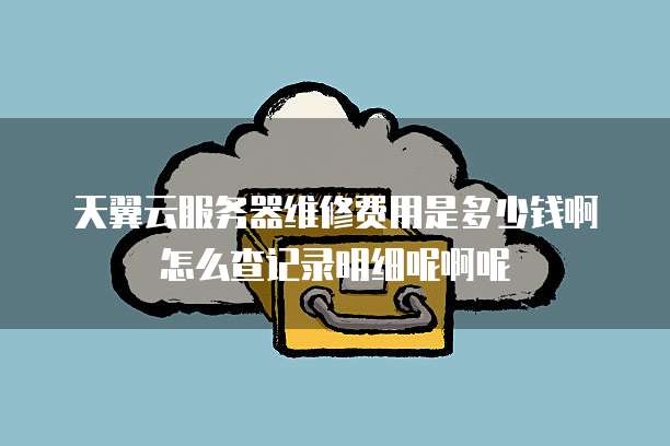 天翼云服务器维修费用是多少钱啊怎么查记录明细呢啊呢