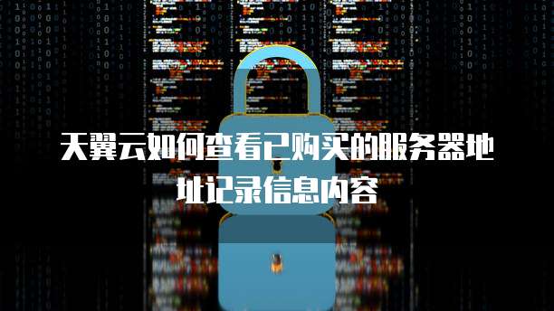 天翼云如何查看已购买的服务器地址记录信息内容