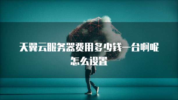 天翼云服务器费用多少钱一台啊呢怎么设置