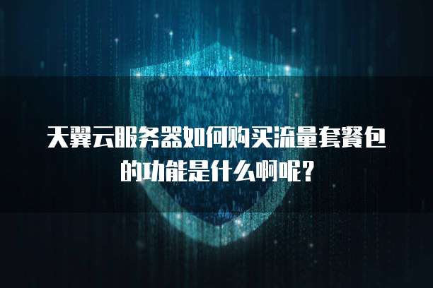 天翼云服务器如何购买流量套餐包的功能是什么啊呢?