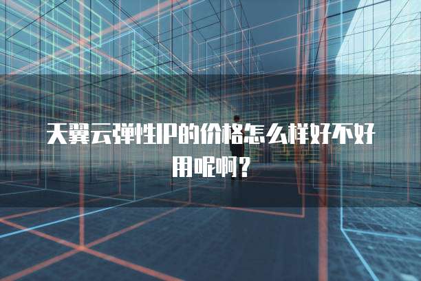 天翼云弹性IP的价格怎么样好不好用呢啊？