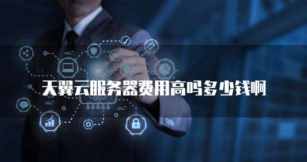 天翼云服务器费用高吗多少钱啊