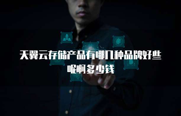 天翼云存储产品有哪几种品牌好些呢啊多少钱