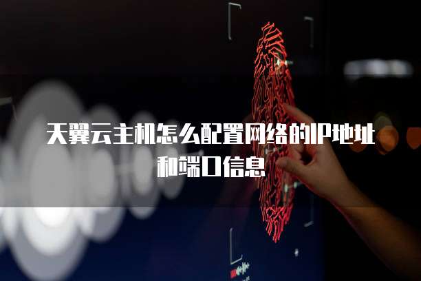 天翼云主机怎么配置网络的IP地址和端口信息