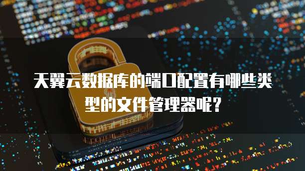 天翼云数据库的端口配置有哪些类型的文件管理器呢？