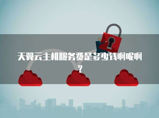 天翼云主机服务费是多少钱啊呢啊?