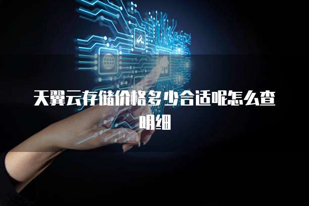 天翼云存储价格多少合适呢怎么查明细