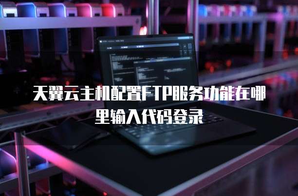 天翼云主机配置FTP服务功能在哪里输入代码登录
