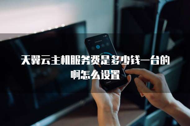 天翼云主机服务费是多少钱一台的啊怎么设置