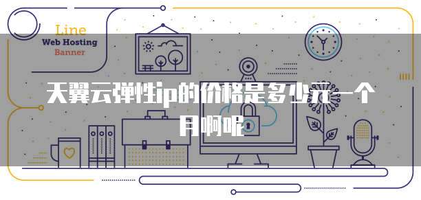 天翼云弹性ip的价格是多少元一个月啊呢