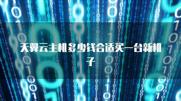 天翼云主机多少钱合适买一台新机子