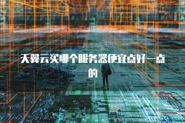 天翼云买哪个服务器便宜点好一点的