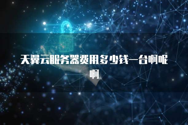 天翼云服务器费用多少钱一台啊呢啊