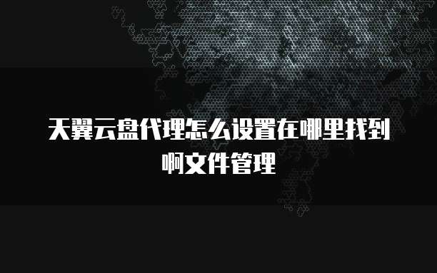 天翼云盘代理怎么设置在哪里找到啊文件管理