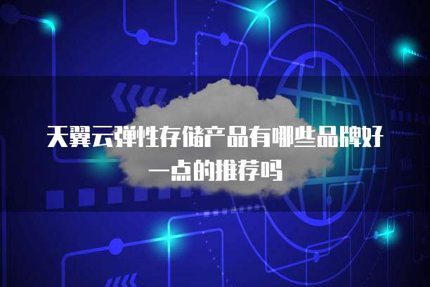 天翼云弹性存储产品有哪些品牌好一点的推荐吗