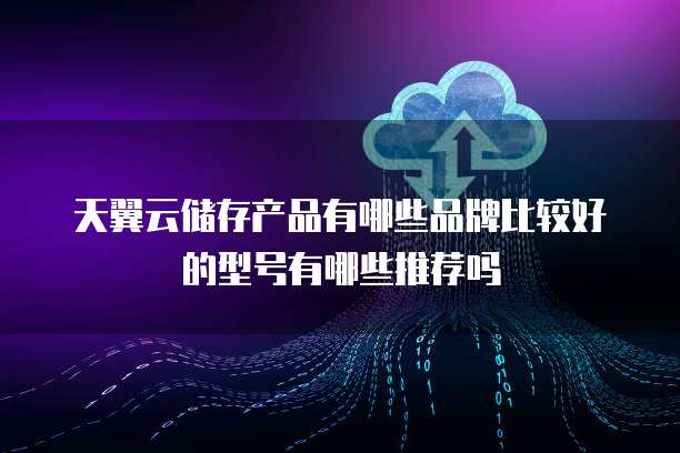 天翼云储存产品有哪些品牌比较好的型号有哪些推荐吗