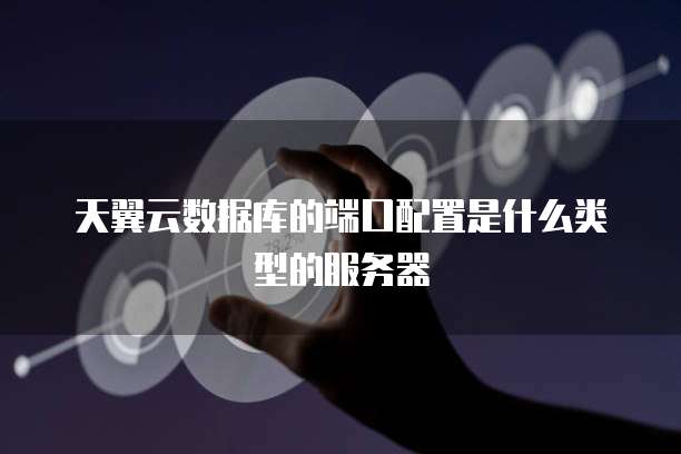 天翼云数据库的端口配置是什么类型的服务器