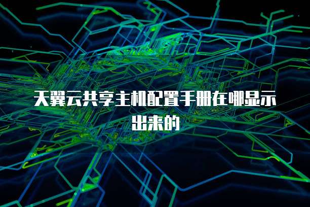 天翼云共享主机配置手册在哪显示出来的