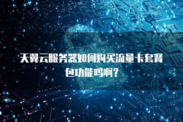 天翼云服务器如何购买流量卡套餐包功能吗啊?