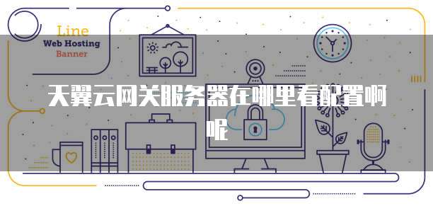 天翼云网关服务器在哪里看配置啊呢